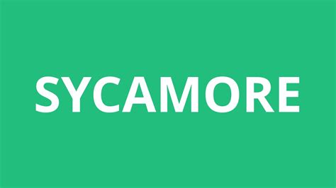 sycamore pronunciation|how to pronounce sycamore.